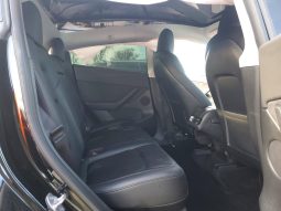 
TESLA MODEL Y PERFORMANCE, 2022 (2021) full									