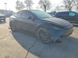 
TESLA MODEL Y PERFORMANCE, 2022 (2021) full									