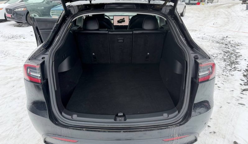 
TESLA MODEL Y LR DM, 2022 full									