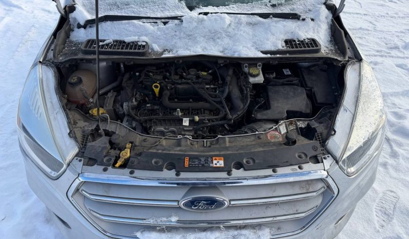 
FORD ESCAPE SE, 2019 full									