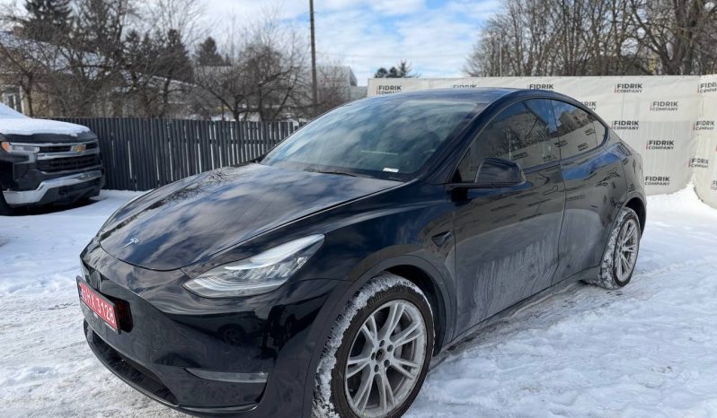 
TESLA MODEL Y LR DM, 2023 (2022) full									