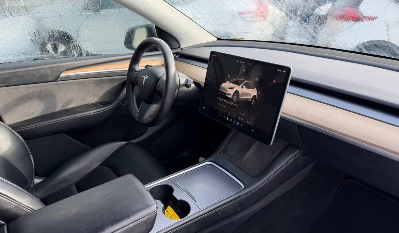 
TESLA MODEL Y LR DM, 2023 (2022) full									