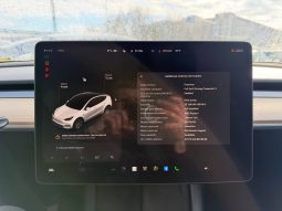 
TESLA MODEL Y LR DM, 2023 (2022) full									