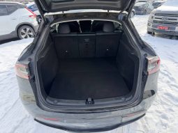 
TESLA MODEL Y LR DM, 2023 (2022) full									