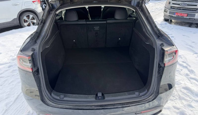 
TESLA MODEL Y LR DM, 2023 (2022) full									