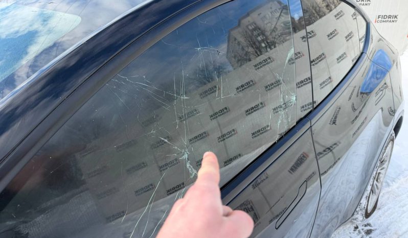 
TESLA MODEL Y LR DM, 2023 (2022) full									