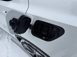 
POLESTAR 2, 2022 full									