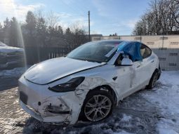 
TESLA MODEL Y LR DM, 2022 full									