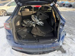 
TESLA MODEL Y LR DM, 2021 full									