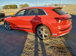 
AUDI E-TRON PREMIUM PLUS, 2019 full									