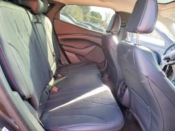 
FORD MUSTANG MACH-E CALIFORNIA ROUTE 1, 2022 full									