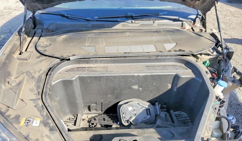 
FORD MUSTANG MACH-E CALIFORNIA ROUTE 1, 2022 full									