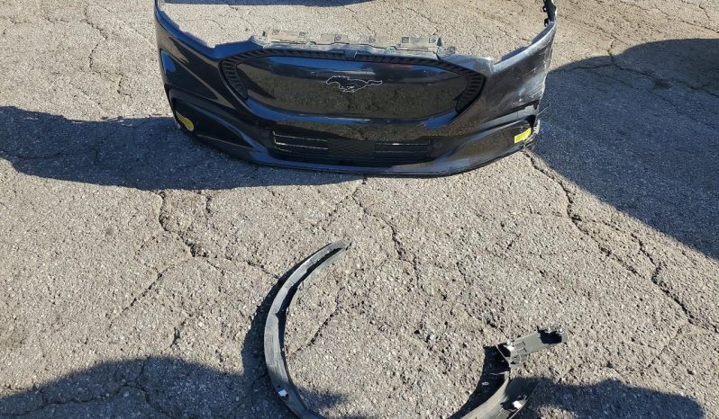 
FORD MUSTANG MACH-E CALIFORNIA ROUTE 1, 2022 full									