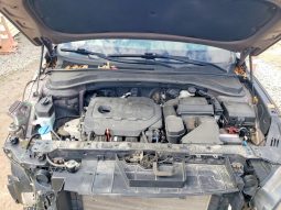 
HYUNDAI SANTA FE SE, 2019 full									