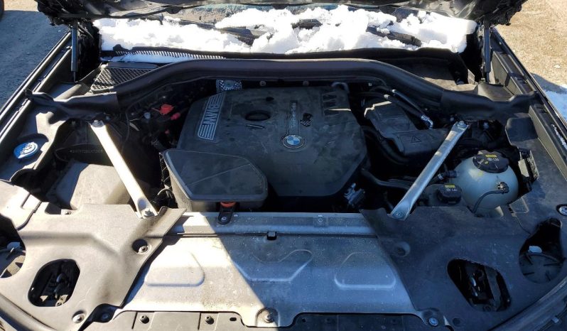 
BMW X3 SDRIVE30I, 2019 (2018) full									