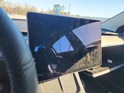 
TESLA MODEL 3 LR DM, 2022 full									