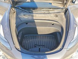 
TESLA MODEL 3 PERFORMANCE, 2022 full									