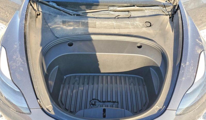 
TESLA MODEL 3 PERFORMANCE, 2022 full									