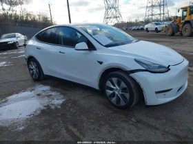TESLA MODEL Y LR DM, 2021