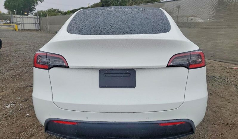 
TESLA MODEL Y LR DM, 2021 full									