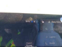 
TESLA MODEL Y LR DM, 2021 (2020) full									