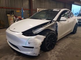 TESLA MODEL Y LR DM, 2021