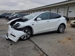 TESLA MODEL Y LR DM, 2021 (2020)
