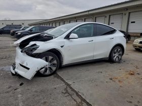 TESLA MODEL Y LR DM, 2021 (2020)