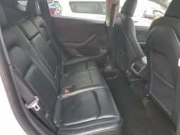 
TESLA MODEL Y LR DM, 2021 (2020) full									