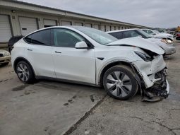 
TESLA MODEL Y LR DM, 2021 (2020) full									