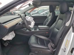 
TESLA MODEL Y LR DM, 2021 (2020) full									