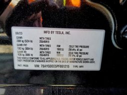 
TESLA MODEL Y LR DM, 2023 full									