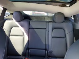 
TESLA MODEL Y LR DM, 2023 (2022) full									