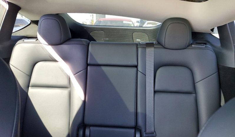 
TESLA MODEL Y LR DM, 2023 (2022) full									