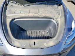 
TESLA MODEL Y LR DM, 2023 (2022) full									