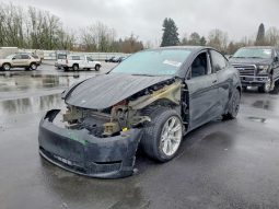 
TESLA MODEL Y LR DM, 2023 full									