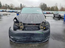
TESLA MODEL Y LR DM, 2023 full									