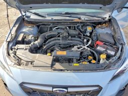 
SUBARU CROSSTREK PREMIUM, 2019 full									