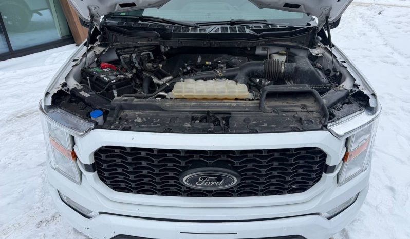 
FORD F150 SUPERCREW, 2022 full									