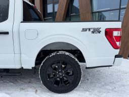 
FORD F150 SUPERCREW, 2022 full									