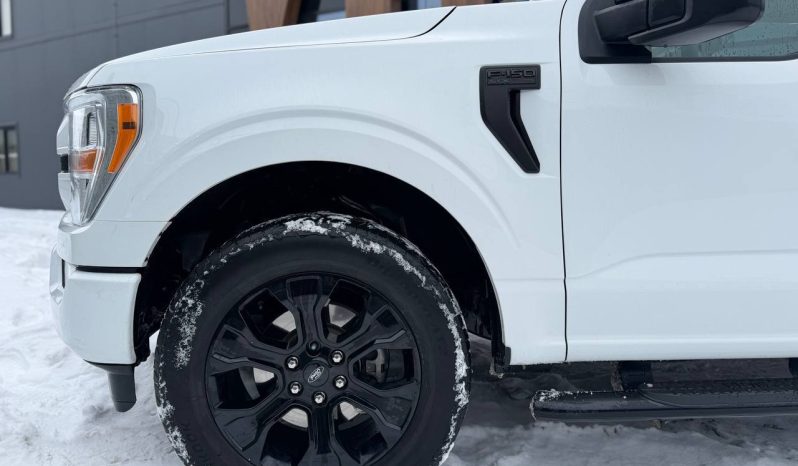 
FORD F150 SUPERCREW, 2022 full									