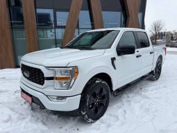 
FORD F150 SUPERCREW, 2022 full									