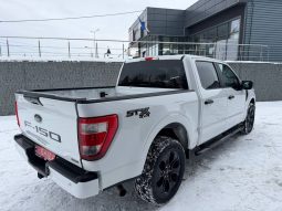 
FORD F150 SUPERCREW, 2022 full									