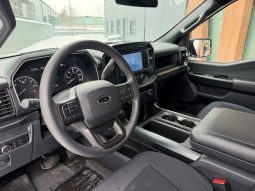 
FORD F150 SUPERCREW, 2022 full									