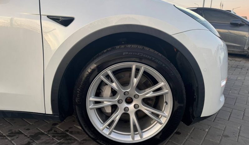 
TESLA MODEL Y LR DM, 2020 full									