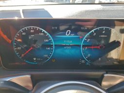 
MERCEDES-BENZ GLB 250 4MATIC, 2020 (2019) full									