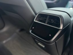
LUCID AIR PURE, 2025 (2024) full									