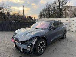 
FORD MUSTANG MACH-E PREMIUM, 2021 full									