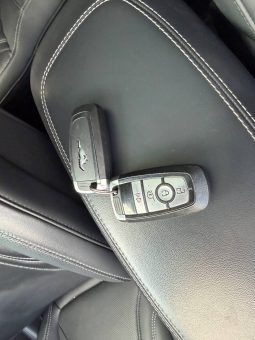 
FORD MUSTANG MACH-E PREMIUM, 2021 full									