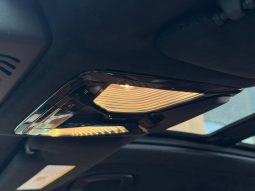 
BMW X7 XDRIVE50I, 2019 full									